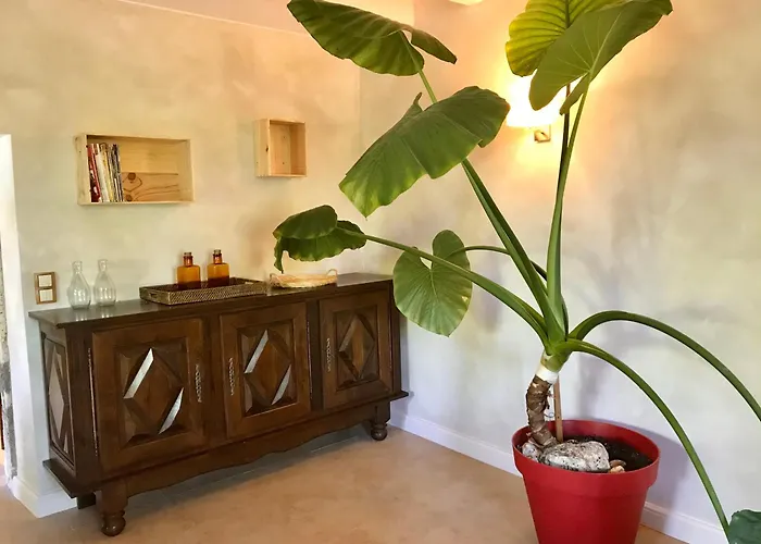 Tatil Evi Le Clos De *